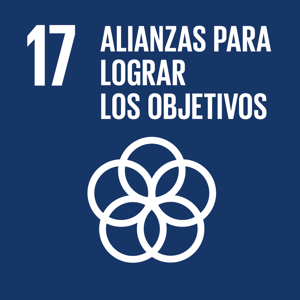 Alianzas para lograr los objetivos Alianzas para lograr los objetivos