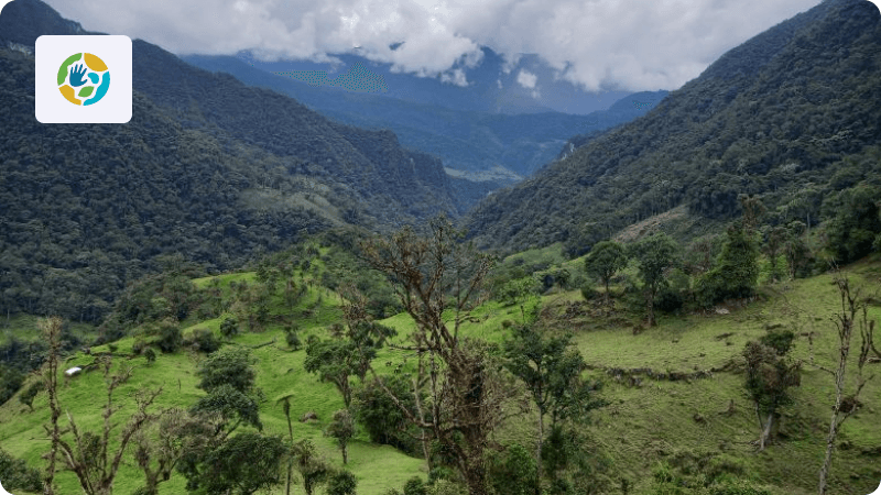 Conservación del Alto de Huayabamba