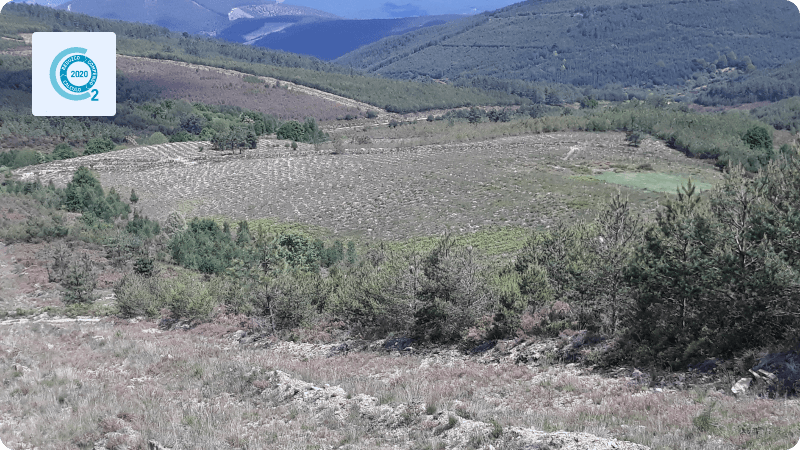 Comunidad de Montes Vecinales en Laza, Galicia