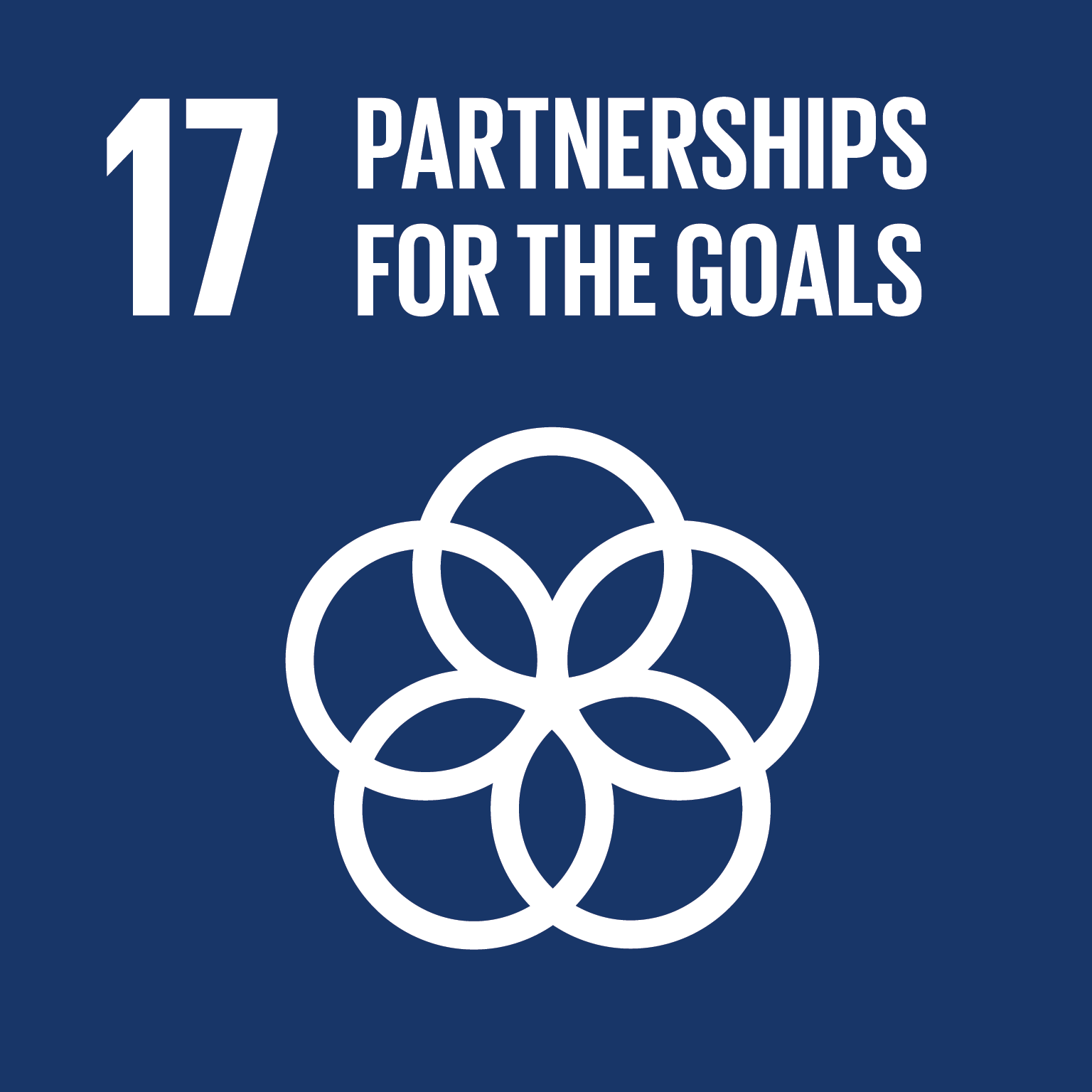 Partnerships for the goals Partnerships for the goals